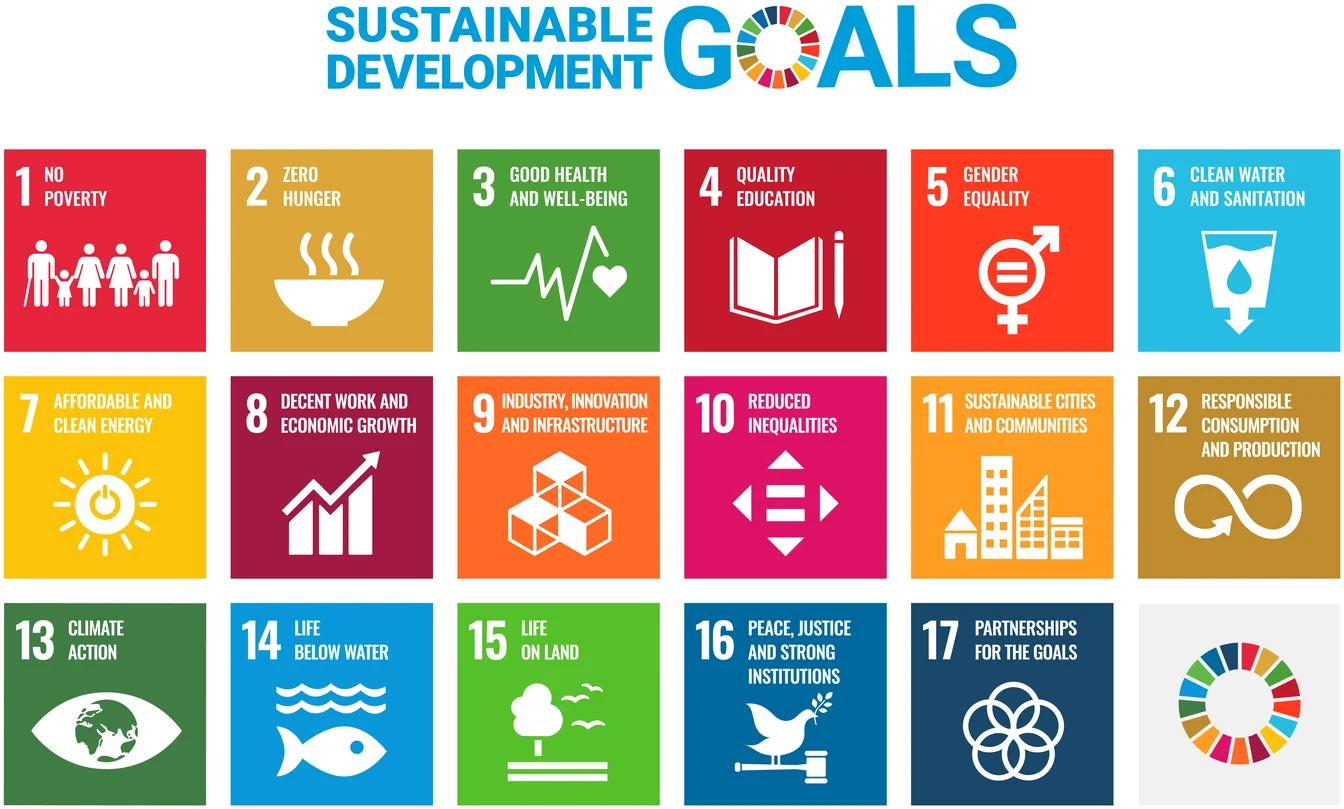 The UN Sustainable Development Goals
